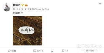 娱乐圈吃瓜感慨文案怎么写,揭秘明星背后的故事与真相