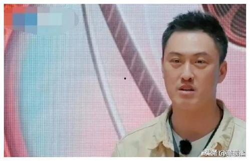 娱乐圈吃瓜爆料哪里找,揭秘热门八卦来源与追踪技巧